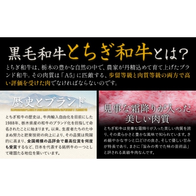 黒毛和牛 とちぎ和牛 焼肉 切り落とし 600g《30日以内に出荷予定(土日祝除く)》