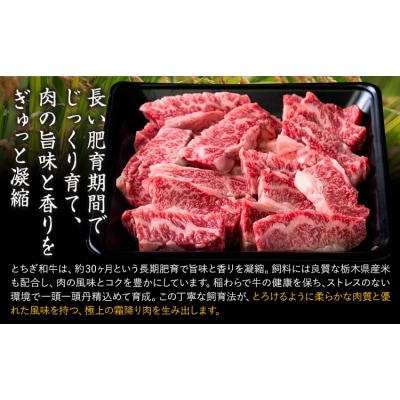 黒毛和牛 とちぎ和牛 焼肉 切り落とし 600g《30日以内に出荷予定(土日祝除く)》