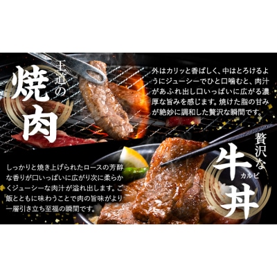 黒毛和牛 とちぎ和牛 焼肉 切り落とし 600g《30日以内に出荷予定(土日祝除く)》