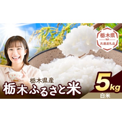栃木ふるさと米 白米 5kg 栃木県 野木町《1-5日以内》【栃木県共通返礼品】