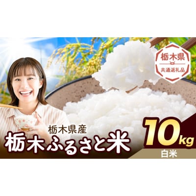 栃木ふるさと米 白米 10kg 栃木県 野木町《1-5日以内》【栃木県共通返礼品】