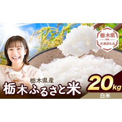栃木ふるさと米 白米 20kg 栃木県 野木町《1-5日以内》【栃木県共通返礼品】