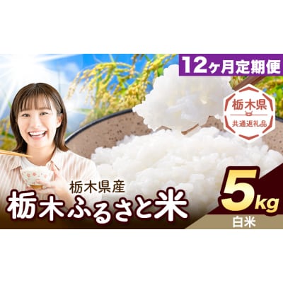 【12ヶ月定期便】栃木ふるさと米 白米 5kg 栃木県 野木町《翌月から出荷》【栃木県共通返礼品】