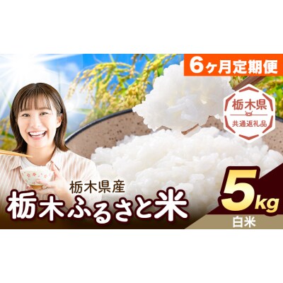 【6ヶ月定期便】栃木ふるさと米 白米 5kg 栃木県 野木町《翌月から出荷》【栃木県共通返礼品】