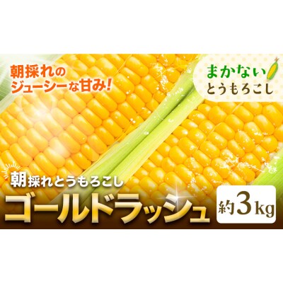 とうもろこし 約3kg 老沼 利治《6月中旬-7月中旬頃出荷予定》