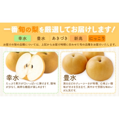 旬の梨 約8kg 幸水 豊水 あきづき 新高 にっこり《8月上旬-10月中旬頃出荷予定》 