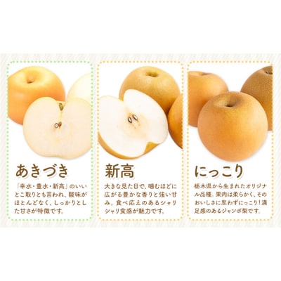 旬の梨 約8kg 幸水 豊水 あきづき 新高 にっこり《8月上旬-10月中旬頃出荷予定》 