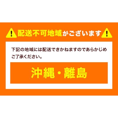 いちご とちあいか 2パック 520g 《2027年1月中旬-4月末頃出荷予定》