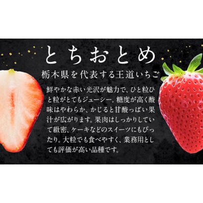 いちご とちおとめ 2パック 520g 《2027年1月中旬-4月末頃出荷予定》