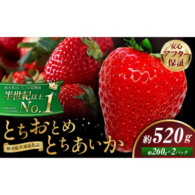 いちご 食べ比べ とちおとめ とちあいか 2パック 520g《2027年1月中旬-4月末頃出荷予定》