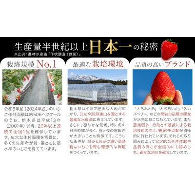 いちご 食べ比べ とちおとめ とちあいか 2パック 520g《2027年1月中旬-4月末頃出荷予定》