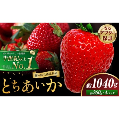いちご とちあいか 4パック 1040g 《2027年1月中旬-4月末頃出荷予定》
