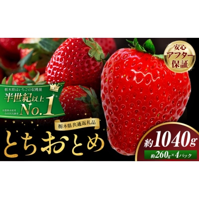 いちご とちおとめ 4パック 1040g 《2027年1月中旬-4月末頃出荷予定》