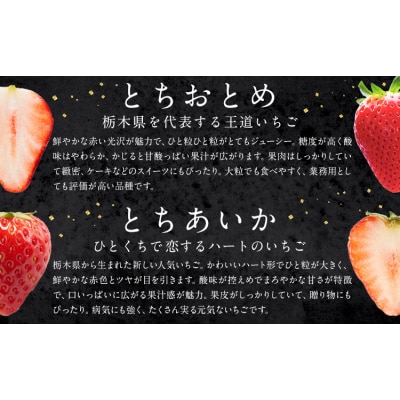 いちご 食べ比べ とちおとめ とちあいか 4パック 1040g《2027年1月中旬-4月末頃出荷》