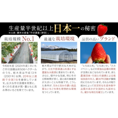 いちご 食べ比べ とちおとめ とちあいか 4パック 1040g《2027年1月中旬-4月末頃出荷》