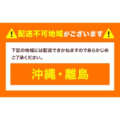 いちご 食べ比べ とちおとめ とちあいか 4パック 1040g《2027年1月中旬-4月末頃出荷》