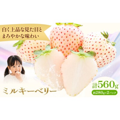 ミルキーベリー 計560g《12月下旬-2027年5月中旬頃出荷》【配送不可地域あり】(沖縄・離島)