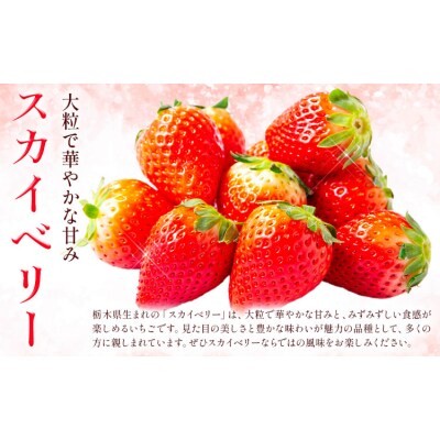 完熟朝摘み スカイベリー 計560g《12月中旬-2027年5月中旬頃出荷》【配送不可地域あり】