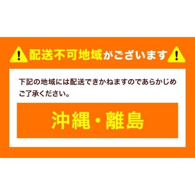 完熟朝摘み スカイベリー 計560g《12月中旬-2027年5月中旬頃出荷》【配送不可地域あり】