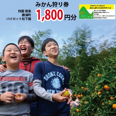 パイロット松下園 みかん狩り券 1800円分