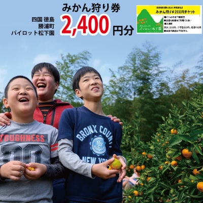 パイロット松下園 みかん狩り券 2400円分