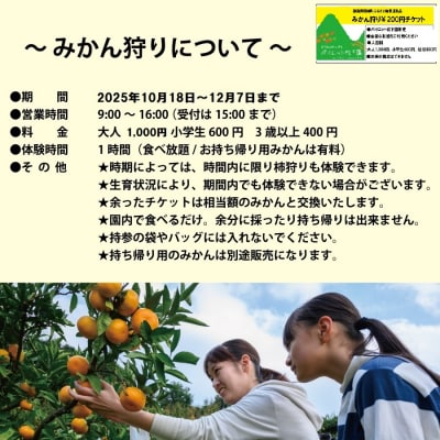 パイロット松下園 勝浦みかん 10kg+みかん狩り券 1200円分