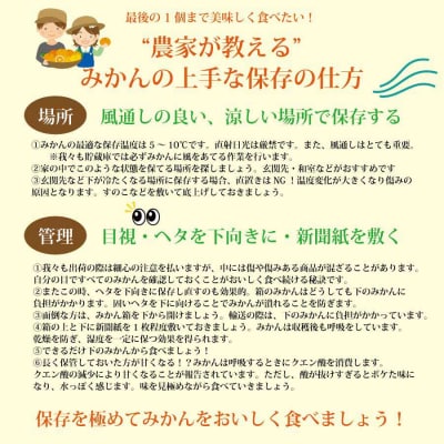 パイロット松下園 勝浦みかん 10kg+みかん狩り券 2400円分