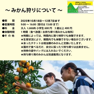 パイロット松下園 勝浦みかん 10kg+みかん狩り券 3000円分