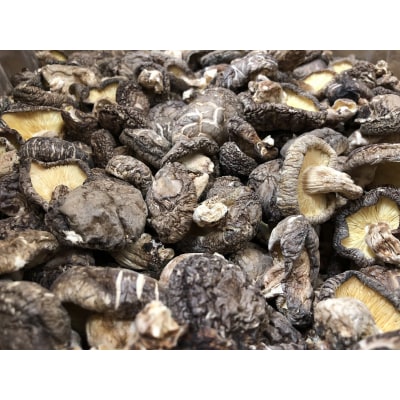 宮崎県諸塚村産　乾しいたけ　どんこ200g