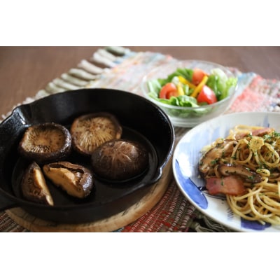 宮崎県諸塚村産　乾しいたけ　どんこ200g