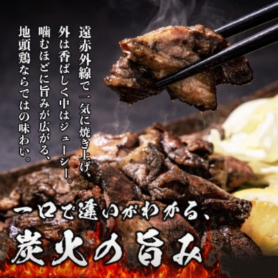 宮崎県が誇る「みやざき地頭鶏」の絶品炭火焼! 120g×7P