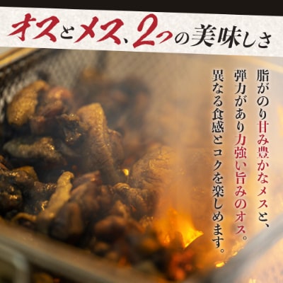 宮崎県が誇る「みやざき地頭鶏」のオスメス食べ比べモモ肉セット