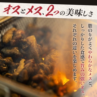 宮崎県が誇る「みやざき地頭鶏」のオスメス食べ比べムネ肉セット