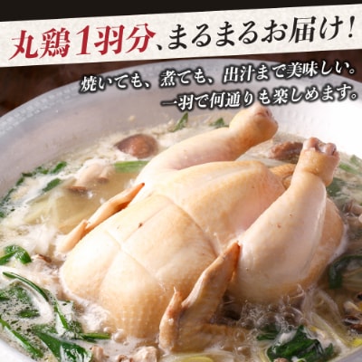 宮崎県が誇る「みやざき地頭鶏」の丸鶏(中抜き)セット