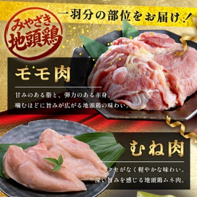 宮崎県が誇る「みやざき地頭鶏」の1羽をまるごと堪能セット 約1.6kg