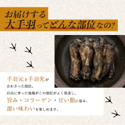 宮崎県が誇る「みやざき地頭鶏」の大手羽の炭火焼×2P