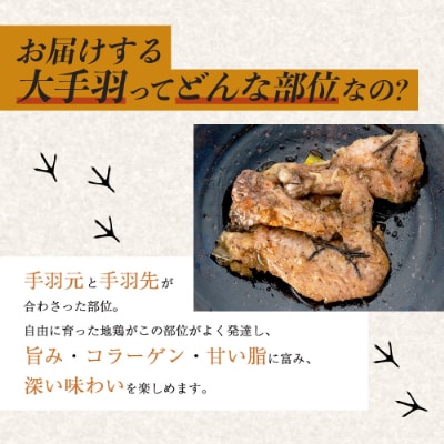 宮崎県が誇る「みやざき地頭鶏」の大手羽のコンフィ 1羽分×2P