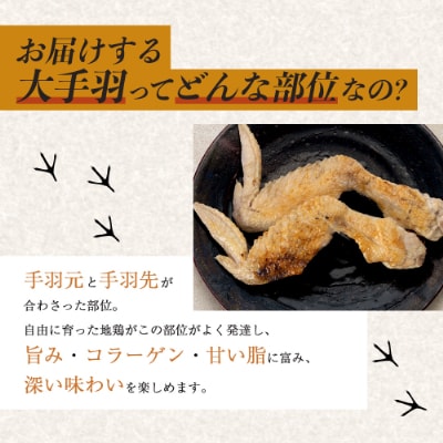 宮崎県が誇る「みやざき地頭鶏」の大手羽の塩煮込み 1羽分×2P