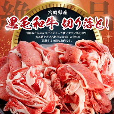 宮崎県産黒毛和牛バラ・モモ切り落とし750g