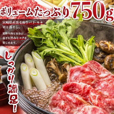 宮崎県産黒毛和牛バラ・モモ切り落とし750g