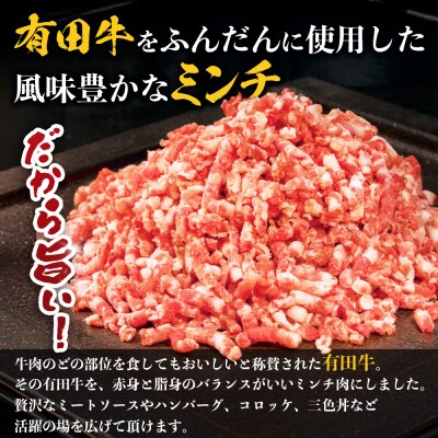 宮崎県産 黒毛和牛 贅沢セット ミンチ肉 万能切り落とし 約1.1kg セット 