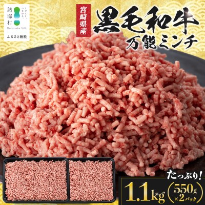 宮崎県産 黒毛和牛 万能ミンチ 約1.1kg(550g×2P)