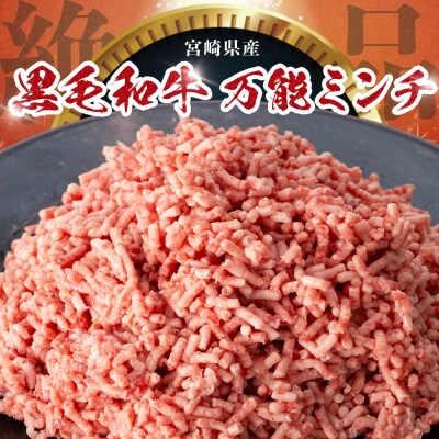 宮崎県産 黒毛和牛 万能ミンチ 約1.1kg(550g×2P)
