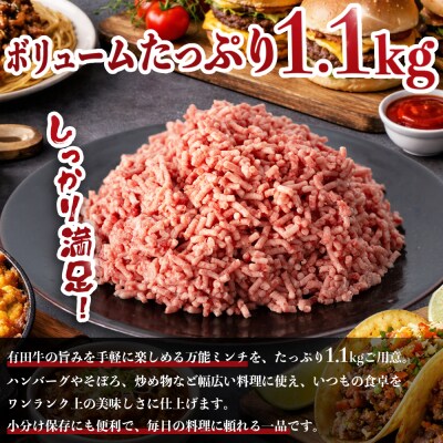宮崎県産 黒毛和牛 万能ミンチ 約1.1kg(550g×2P)