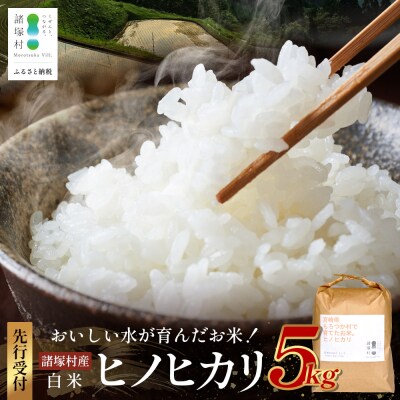 【先行予約】令和8年産 新米 ヒノヒカリ 5kg【2026年11月より順次発送】