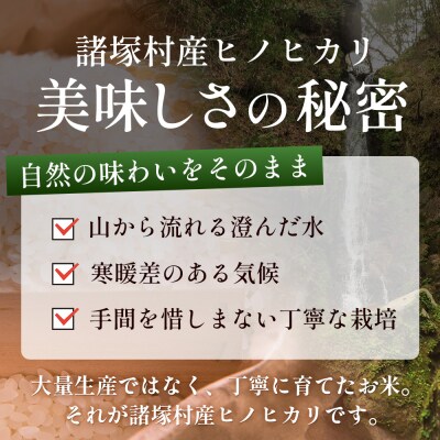 【先行予約】令和8年産 新米 ヒノヒカリ 5kg【2026年11月より順次発送】