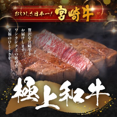 宮崎牛 モモステーキ&切り落とし セット 計600g