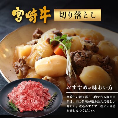 宮崎牛 モモステーキ&切り落とし セット 計600g