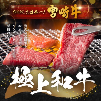 宮崎牛 赤身 モモウデ 焼肉 セット 計800g (約400g×2P)