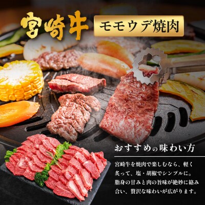 宮崎牛 赤身 モモウデ 焼肉 セット 計800g (約400g×2P)